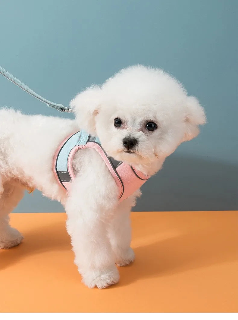 Pet Leash Cat Universal Chest Harness Dog Walking
