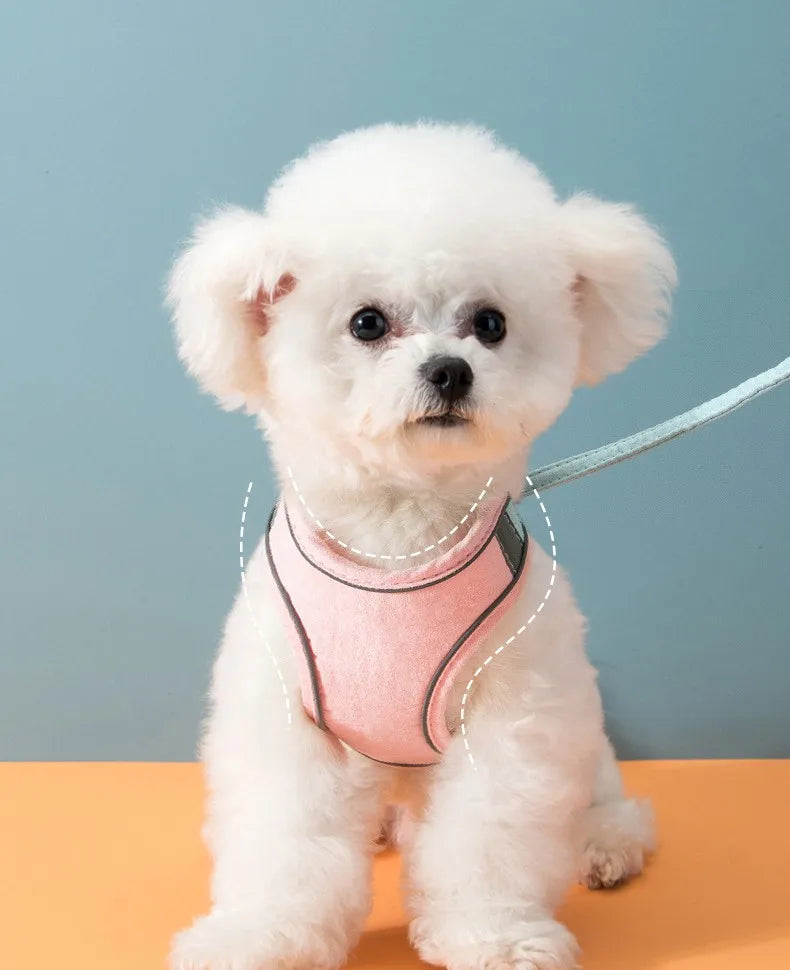 Pet Leash Cat Universal Chest Harness Dog Walking