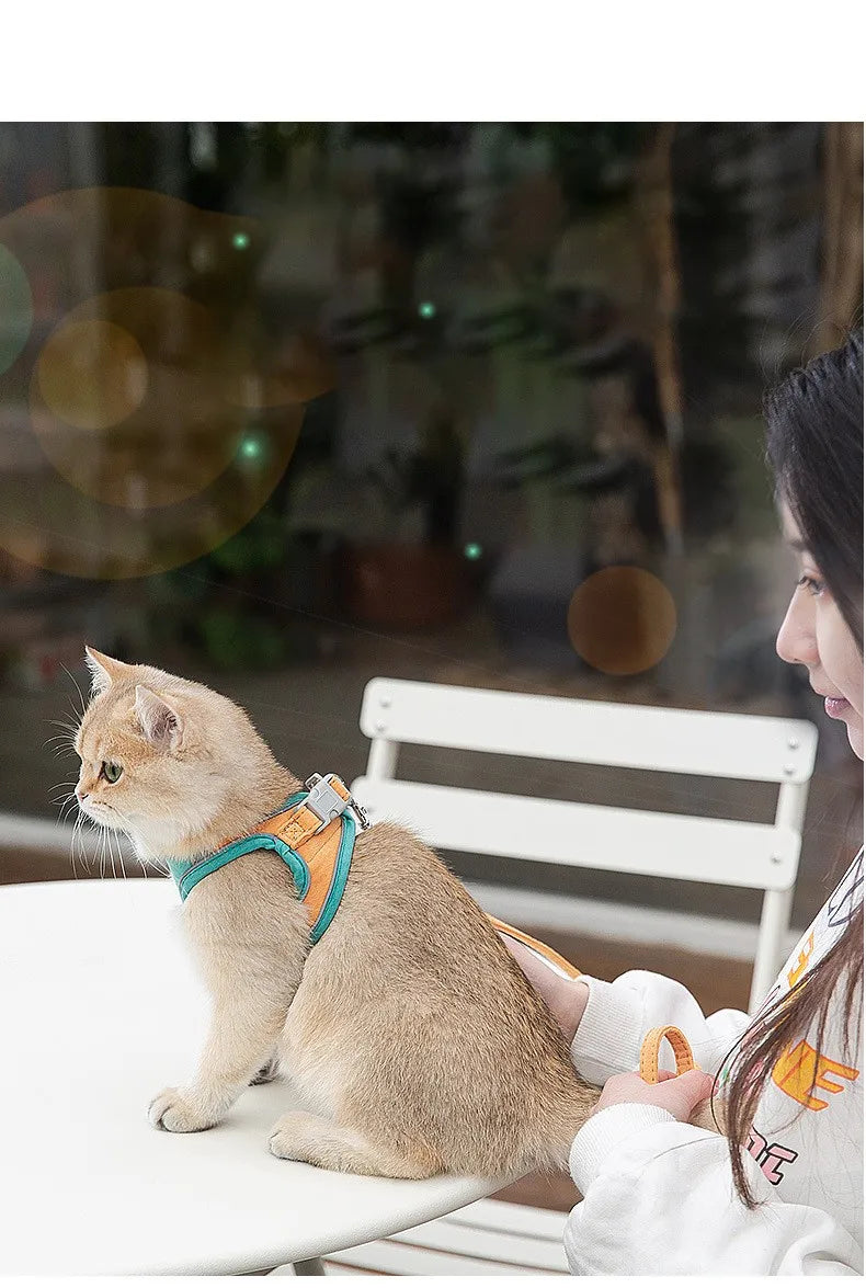 Pet Leash Cat Universal Chest Harness Dog Walking