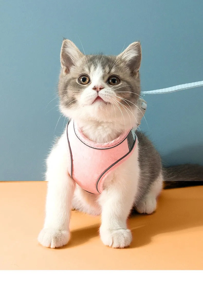 Pet Leash Cat Universal Chest Harness Dog Walking