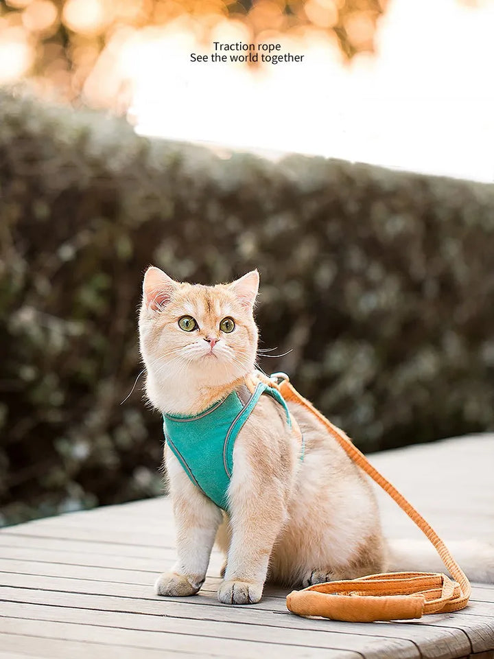 Pet Leash Cat Universal Chest Harness Dog Walking