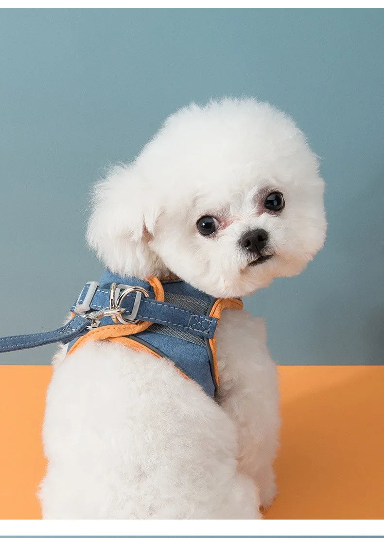 Pet Leash Cat Universal Chest Harness Dog Walking