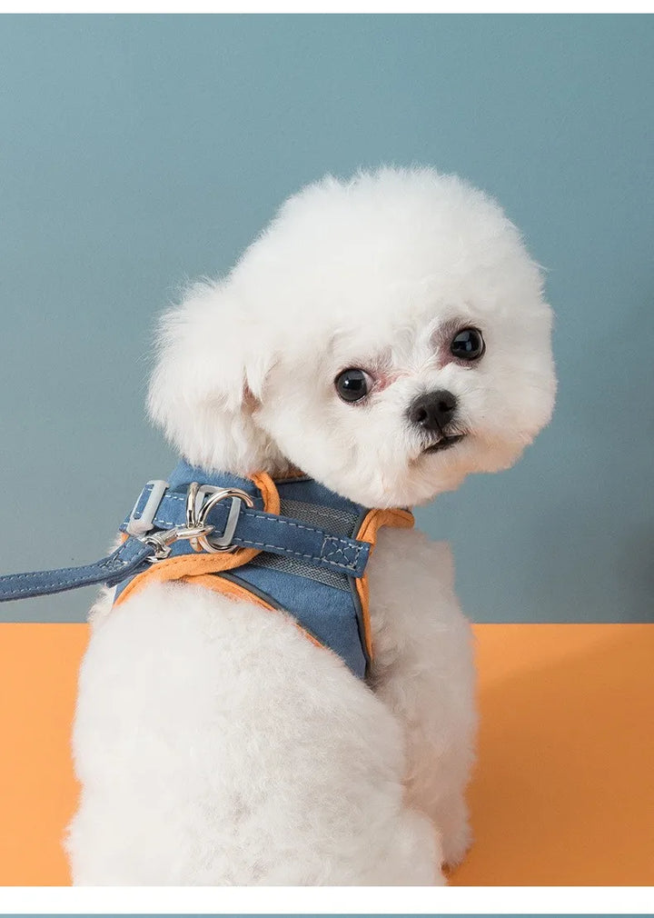 Pet Leash Cat Universal Chest Harness Dog Walking