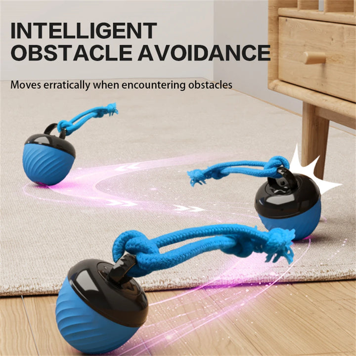 Pet Ball for Dogs Interactive Toys Motion Activate Rolling Ball for Puppy/Small Dogs Automatic Moving Toy USB Rechargeable Toy