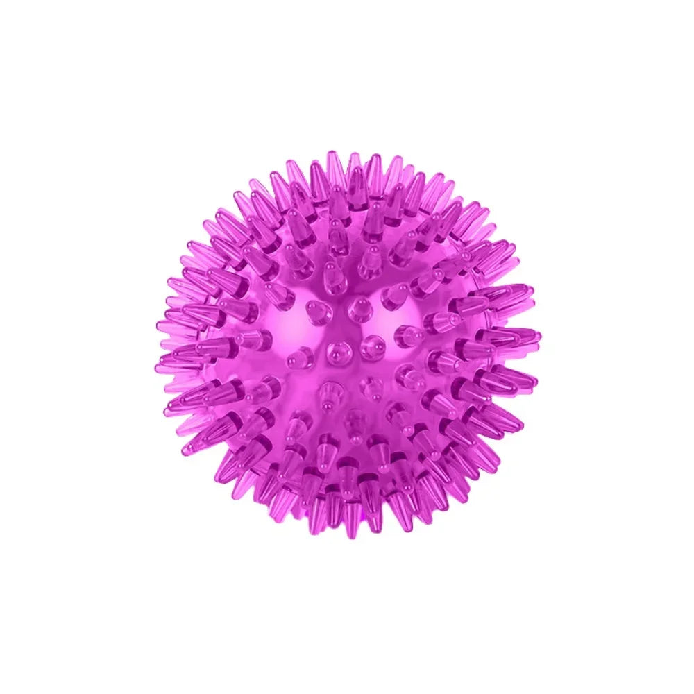 Squeaky Puppy Big Dog Ball Toys for Small Medium Dogs Clean Teeth Pet Chew Toy French Bulldog Corgi mascotas Playing Accessories