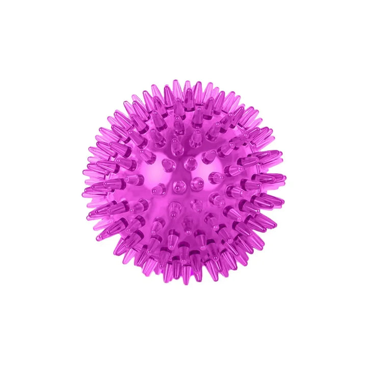 Squeaky Puppy Big Dog Ball Toys for Small Medium Dogs Clean Teeth Pet Chew Toy French Bulldog Corgi mascotas Playing Accessories