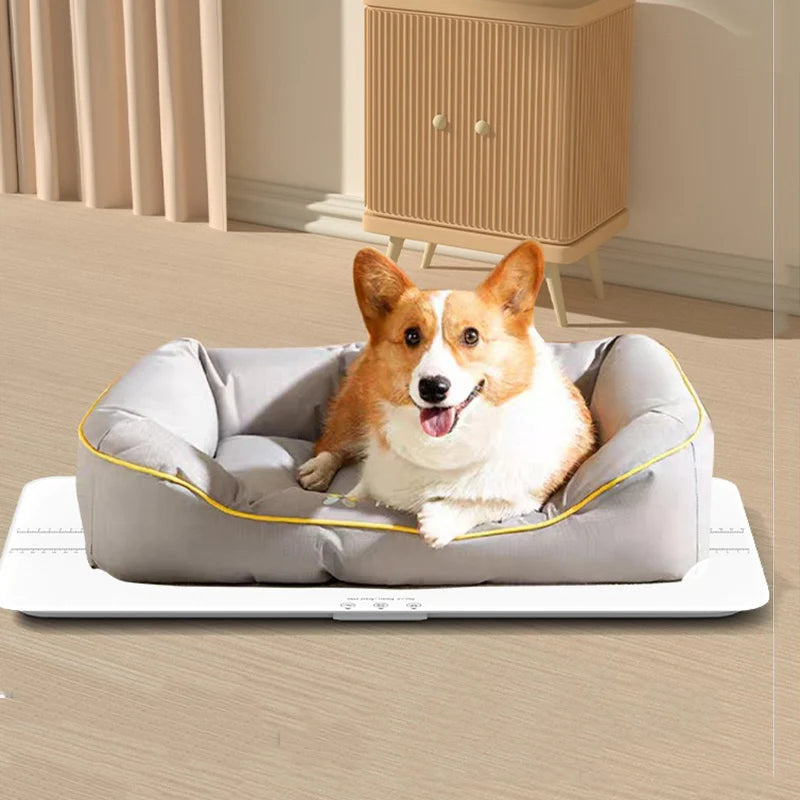 Large Pet Weight Scale Pet Electronic Scale 100kg Large Pet Scale Precision Weighing Device Covering Pets All Sizes Dog Supplies