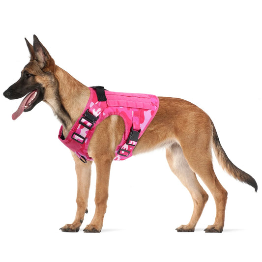 Military Pink Camouflage Dogs Harness Adjustable Leash