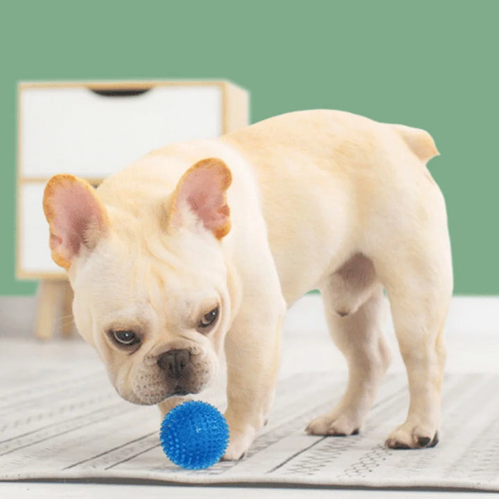Squeaky Puppy Big Dog Ball Toys for Small Medium Dogs Clean Teeth Pet Chew Toy French Bulldog Corgi mascotas Playing Accessories