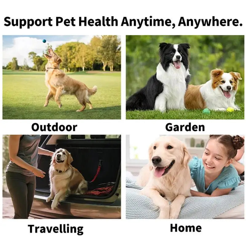 Pet Teeth Cleaning Wipes For Cleaning Bad Breath