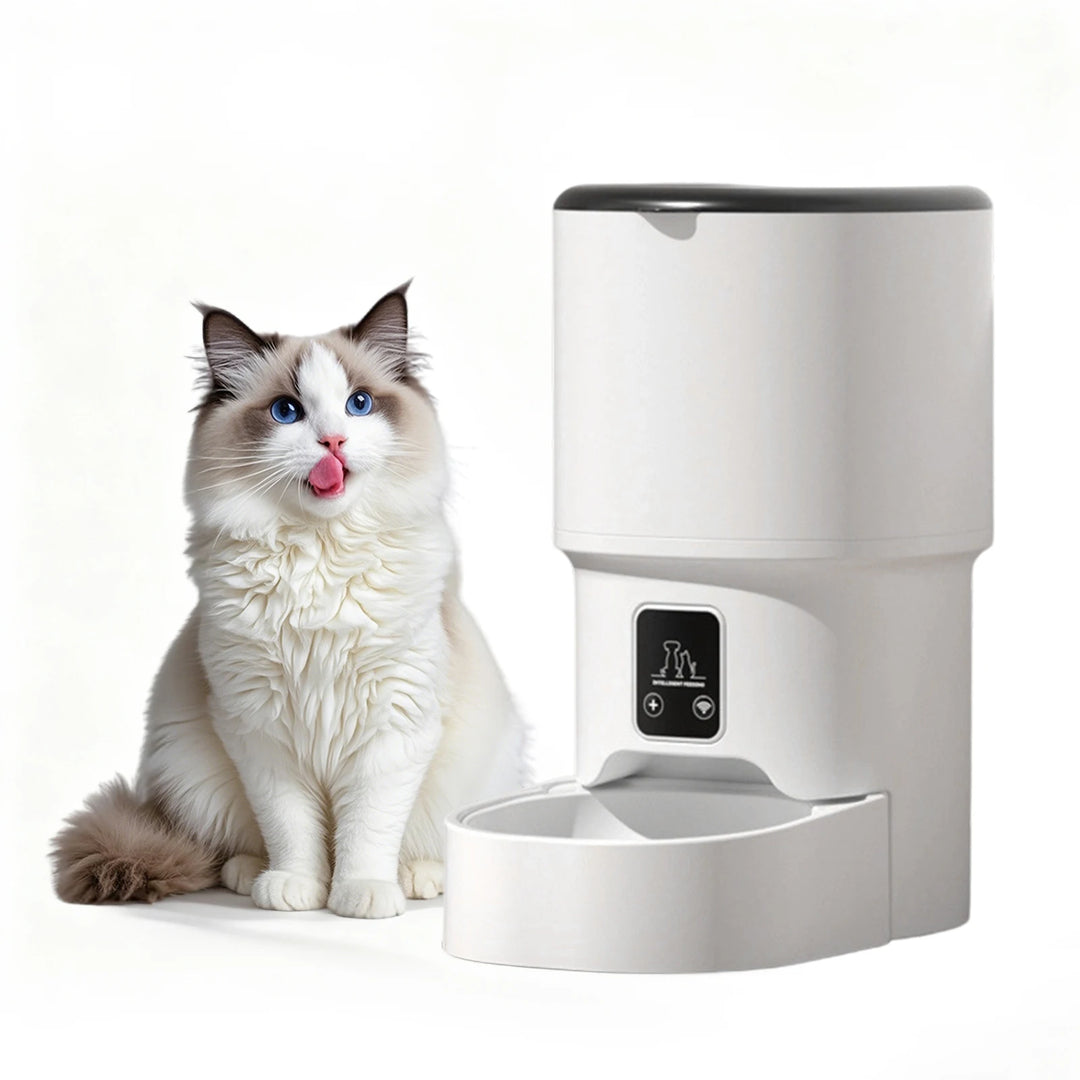 Programmable 4L Automatic Pet Feeder Up to 6 Meals