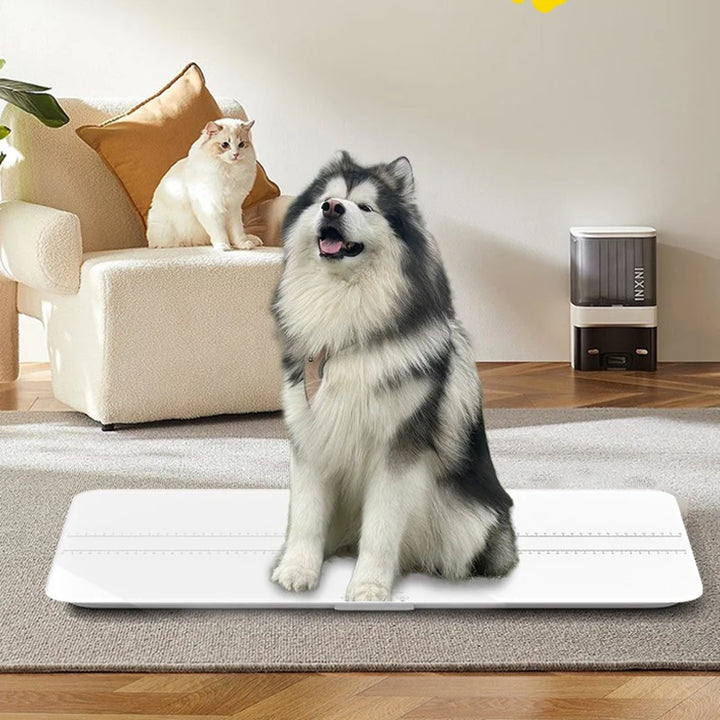 Large Pet Weight Scale Pet Electronic Scale 100kg Large Pet Scale Precision Weighing Device Covering Pets All Sizes Dog Supplies