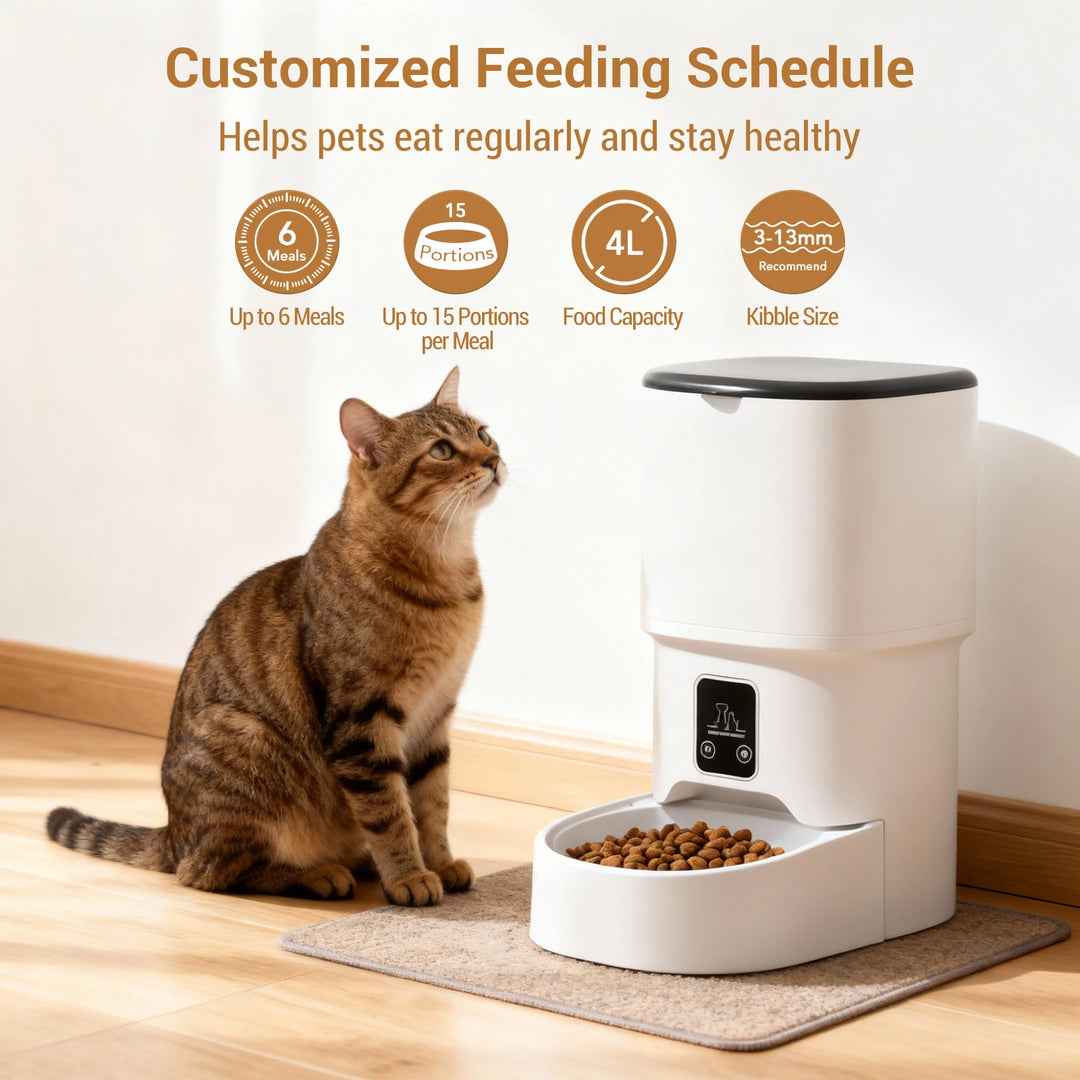 Programmable 4L Automatic Pet Feeder Up to 6 Meals