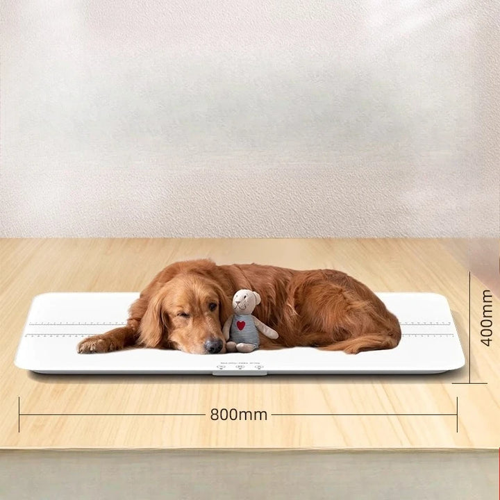 large pet weight weighs 100kg pet scale animal precision large dog weighing device