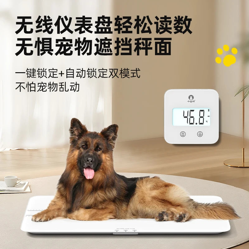 large pet weight weighs 100kg pet scale animal precision large dog weighing device