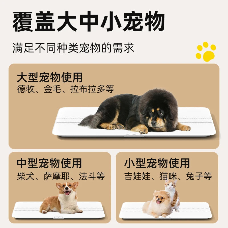 large pet weight weighs 100kg pet scale animal precision large dog weighing device