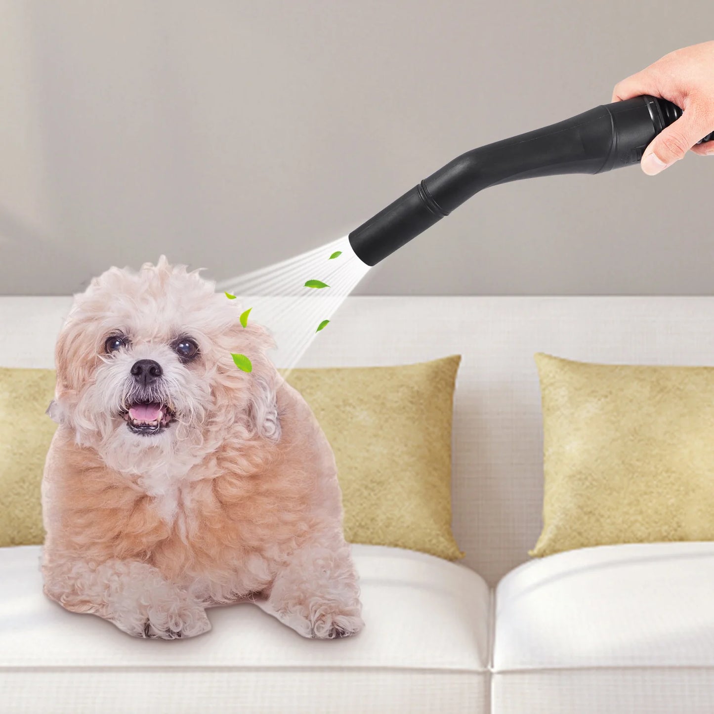 Portable Shop Vacuum with Blowing Function  Attachment Storage