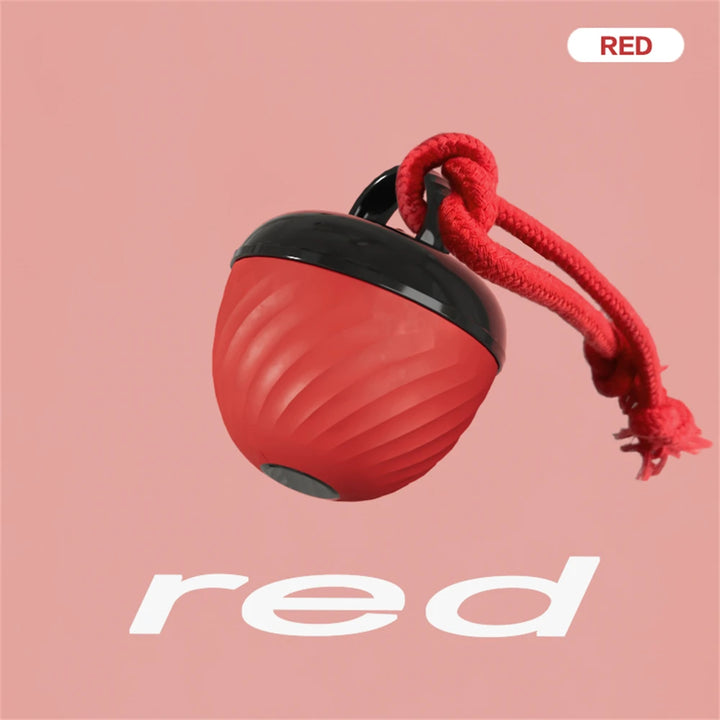 Pet Ball for Dogs Interactive Toys Motion Activate Rolling Ball for Puppy/Small Dogs Automatic Moving Toy USB Rechargeable Toy