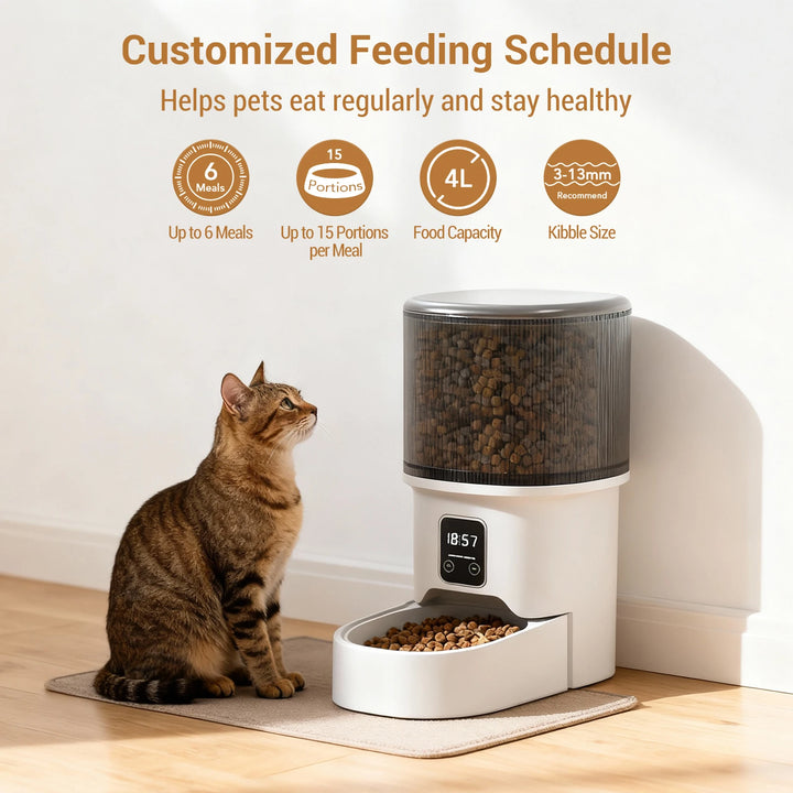 Programmable 4L Automatic Pet Feeder Up to 6 Meals