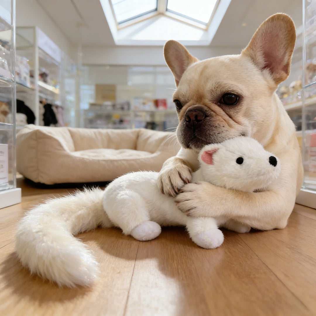 Pet Bite-Resistant Plush Interactive Toy with Sound, Suitable for Large, Medium, and Small Pets Such as Cats and Dogs, Double-Layer Fabric, Built-In Airbag