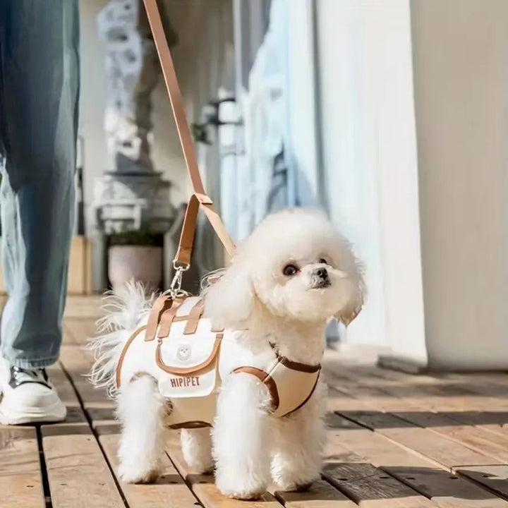 Cute Dog Backpack Carrier - Ideal for Small to Medium Pets - Ideal for Travel, Daily Use, Walking, Pet Carry Bag, Dog Carrier
