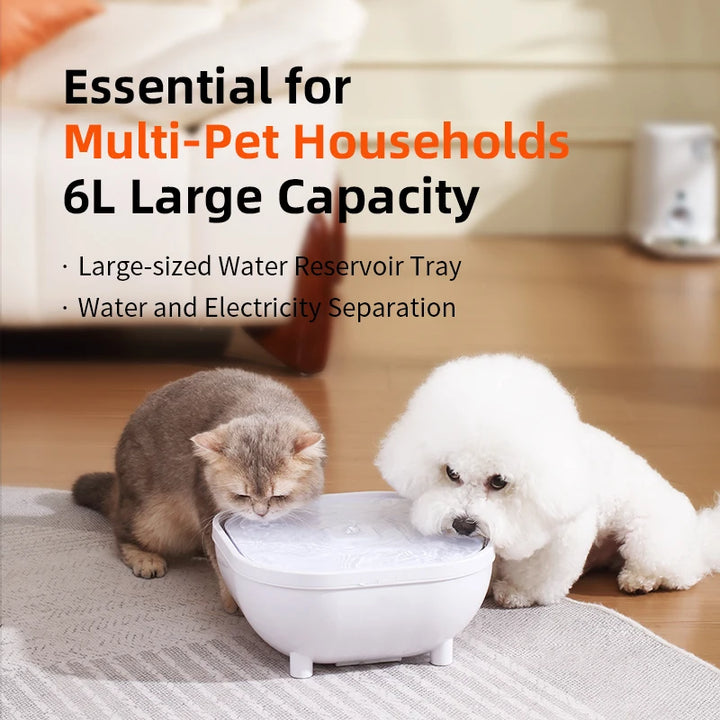 New Large 6L Capacity ABS Pet Water Dispenser Stylish Automatic Pet Feeder with Battery Power Source Portable