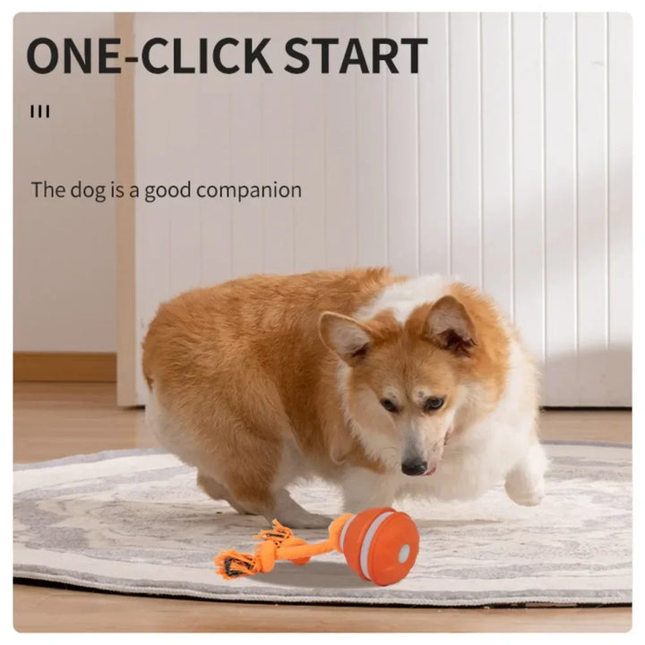 Pet Ball for Dogs Interactive Toys Motion Activate Rolling Ball for Puppy/Small Dogs Automatic Moving Toy USB Rechargeable Toy