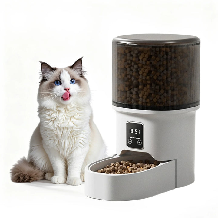 Programmable 4L Automatic Pet Feeder Up to 6 Meals