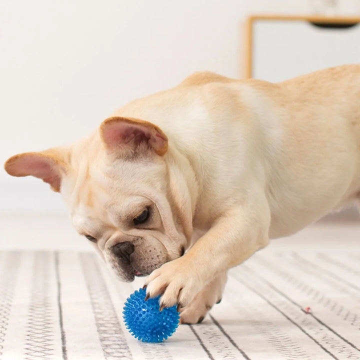 Squeaky Puppy Big Dog Ball Toys for Small Medium Dogs Clean Teeth Pet Chew Toy French Bulldog Corgi mascotas Playing Accessories