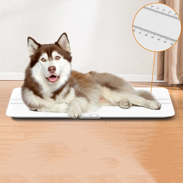 Large Pet Weight Scale Pet Electronic Scale 100kg Large Pet Scale Precision Weighing Device Covering Pets All Sizes Dog Supplies