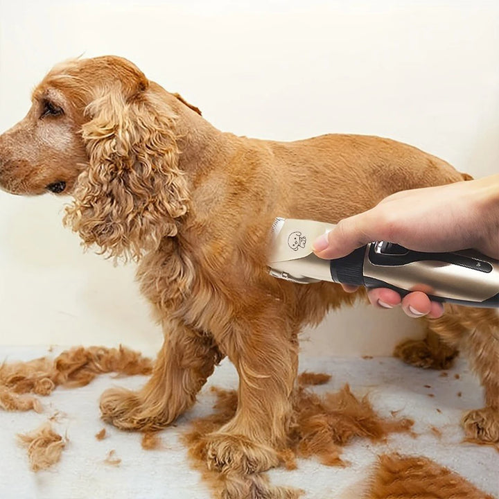 Pet Hair Trimmer Kit Professional Grooming at Home,